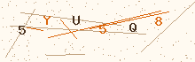 CAPTCHA verification code